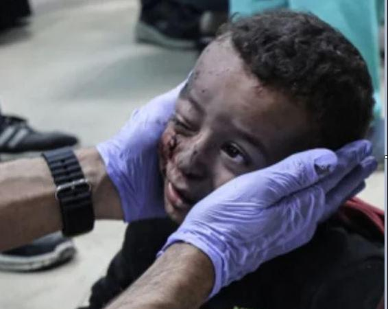 Liberare Gaza dagli"animali umani"